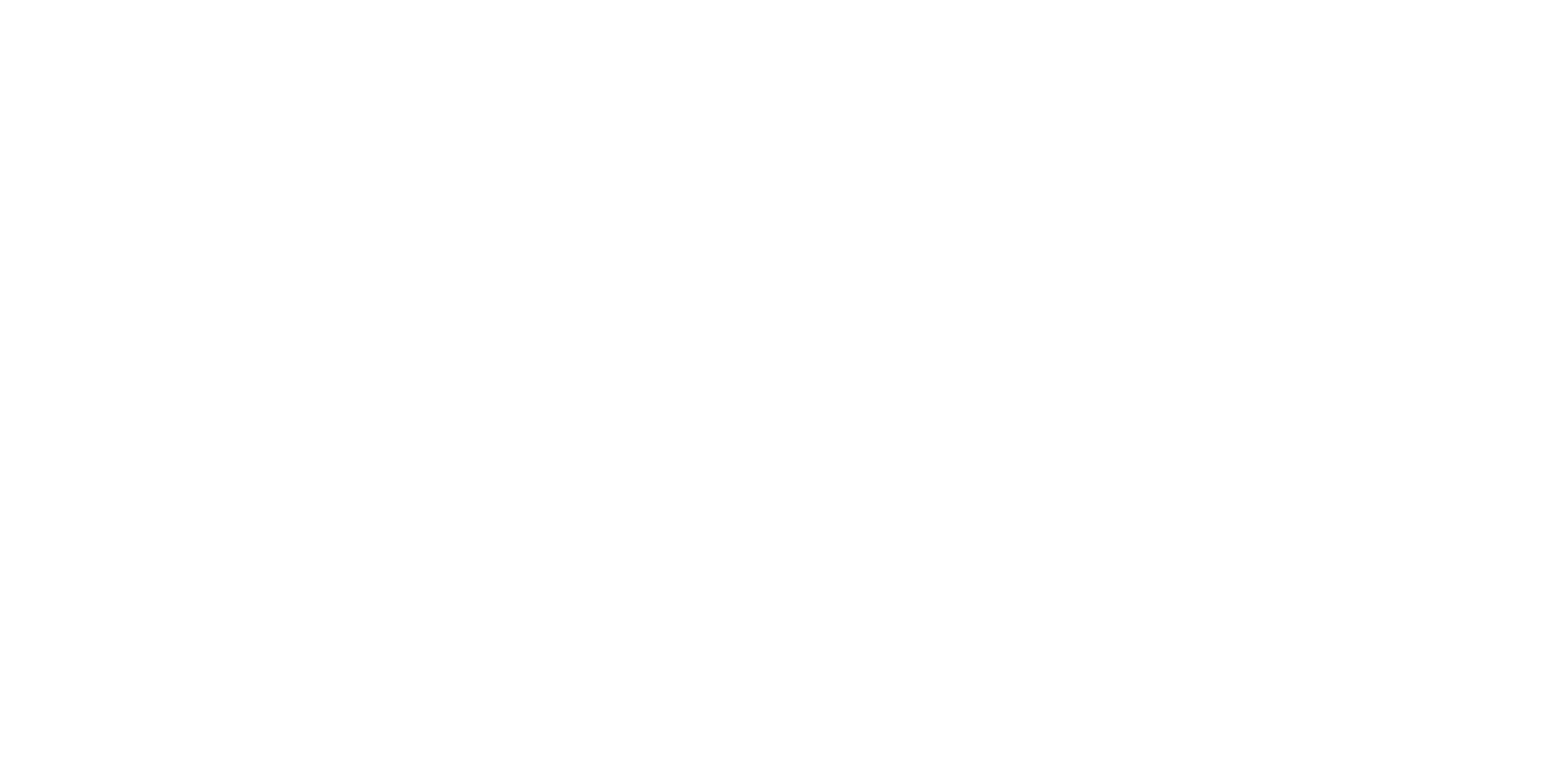 Conexión 2030