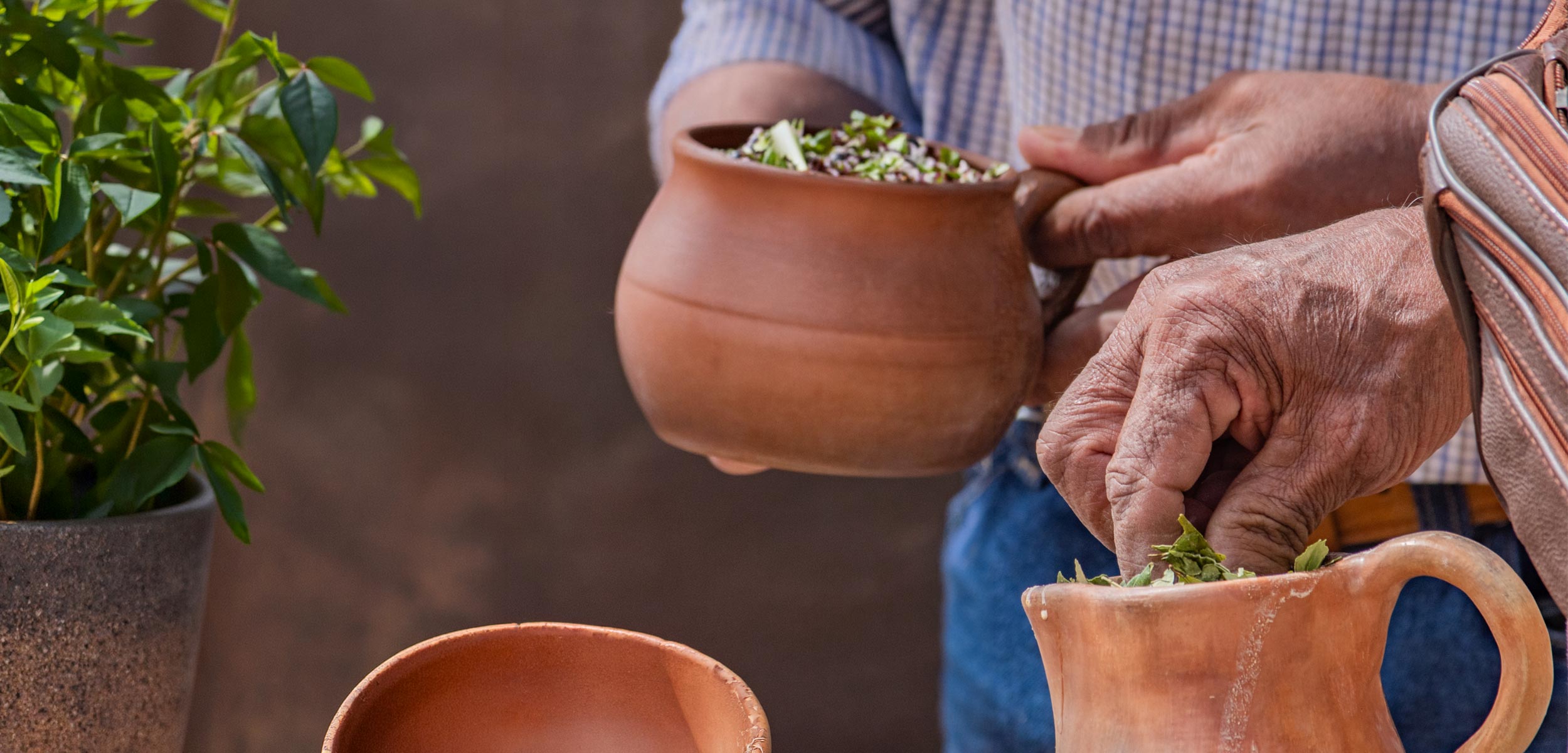 FPA 2027 · Proyectos Sustentables para Pueblos Indígenas